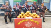কুষ্টিয়া সীমান্তে ১১ লাখ টাকার মাদকসহ আটক ২