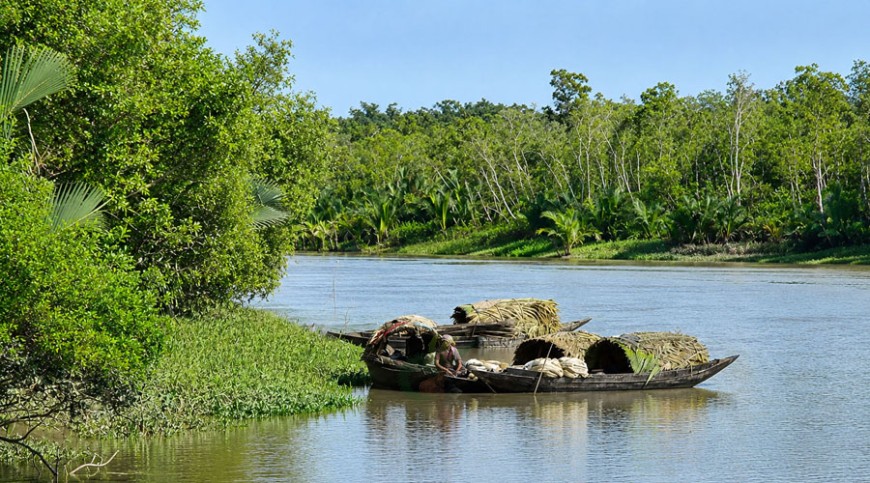 তিন মাস পর সুন্দরবনের দুয়ার খুলছে