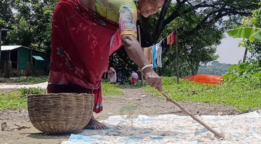 মাছের আঁশে বাড়তি আয়