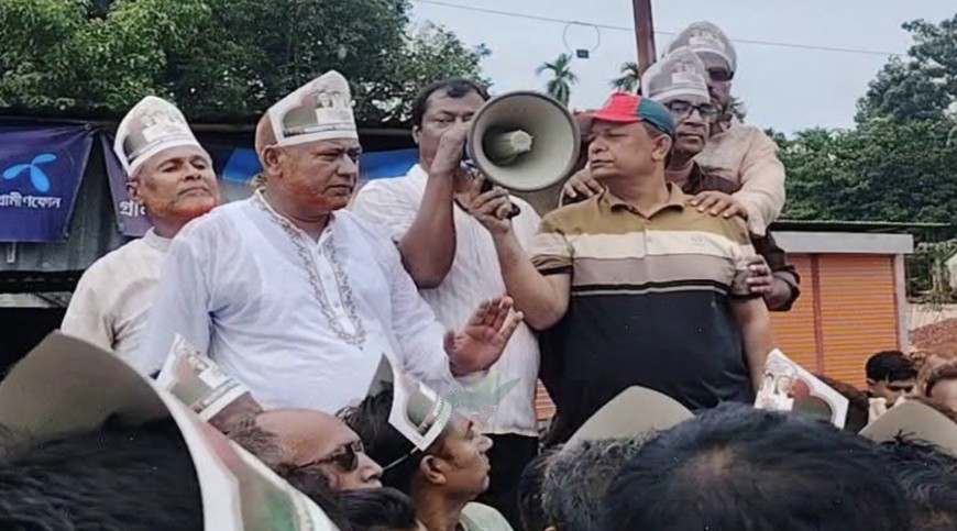 লোহাগড়ায় বিএনপির প্রতিষ্ঠাবার্ষিকী পালিত