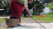 মাছের আঁশে বাড়তি আয়