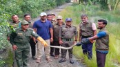 কয়রার লোকালয় থেকে অজগর সাপ উদ্ধার, সুন্দরবনে অবমুক্ত
