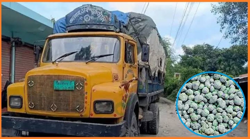 আলমডাঙ্গায় ৪৪০ বস্তা টিএসপি সারসহ আটক