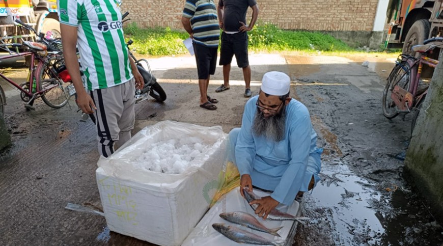 বাজারে ভারতীয় ইলিশ, চালানো হচ্ছে মিয়ানমারের নামে