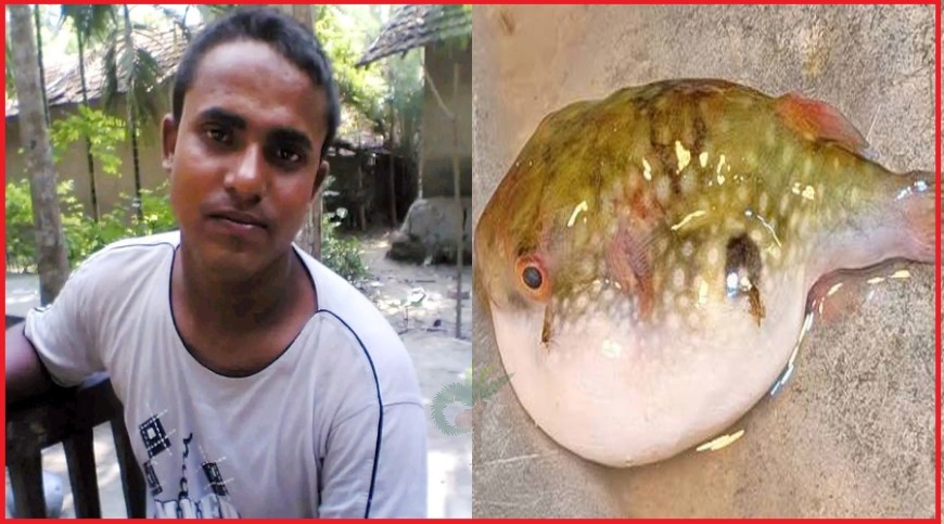 সাতক্ষীরায় পটকা মাছ খেয়ে গৃহকর্তার মৃত্যু, অসুস্থ ৪