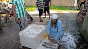 বাজারে ভারতীয় ইলিশ, চালানো হচ্ছে মিয়ানমারের নামে