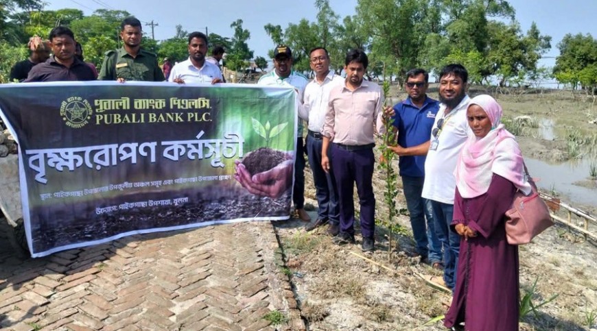 পাইকগাছায় পূবালী ব্যাংকের বৃক্ষরোপণ