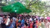 মনসা ও বিশ্বকর্মা পূজায় সাতক্ষীরা মনসাতলায় মিলনমেলা