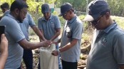 সুন্দরবনের বর্জ্য অপসারণ করলেন সাংবাদিকরা