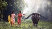 মহিষনামা