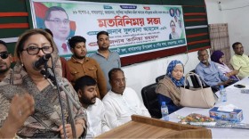 বাঘারপাড়া