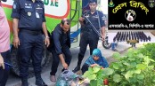 যশোরে ফেনসিডিলসহিএক নারীকে গ্রেপ্তার দাবি