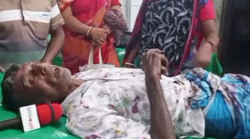 সুন্দরবনের খালে বৃদ্ধের পায়ে কুমিরের কামড়