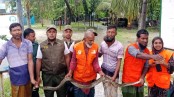 লোকালয়ে অজগর উদ্ধারের পর অবমুক্ত