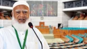 রাষ্ট্রপতি-প্রধানমন্ত্রী, মন্ত্রী-এমপিদের বেতন বাড়ানোর বিরোধী জামায়াত