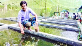 ফিচার