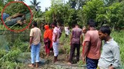 ঝিনাইদহে ঝুলন্ত তারে বিদ্যুস্পৃষ্ট হয়ে যুবকের মৃত্যু!
