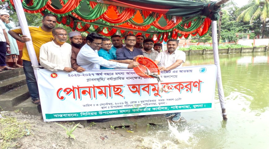 পাইকগাছায় ৪০ জলাশয়ে মাছের পোনা অবমুক্ত