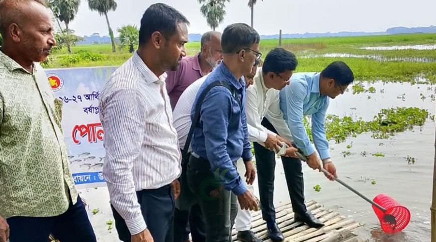 লোহাগড়ার জলাশয়ে মাছের পোনা অবমুক্ত