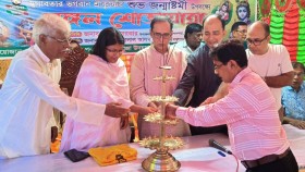 বাঘারপাড়া