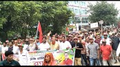 বিএনপির প্রতিষ্ঠাবার্ষিকীতে কোটচাঁদপুরে র‍্যালি