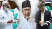 গাজী নজরুলকে সংসদীয় কমিটিতে রাখায় বিতর্কের পর বাদ