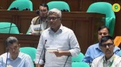 সরকার আকর্ষণীয় মূল্যে সৌরবিদ্যুৎ কিনবে: সংসদে অমিত